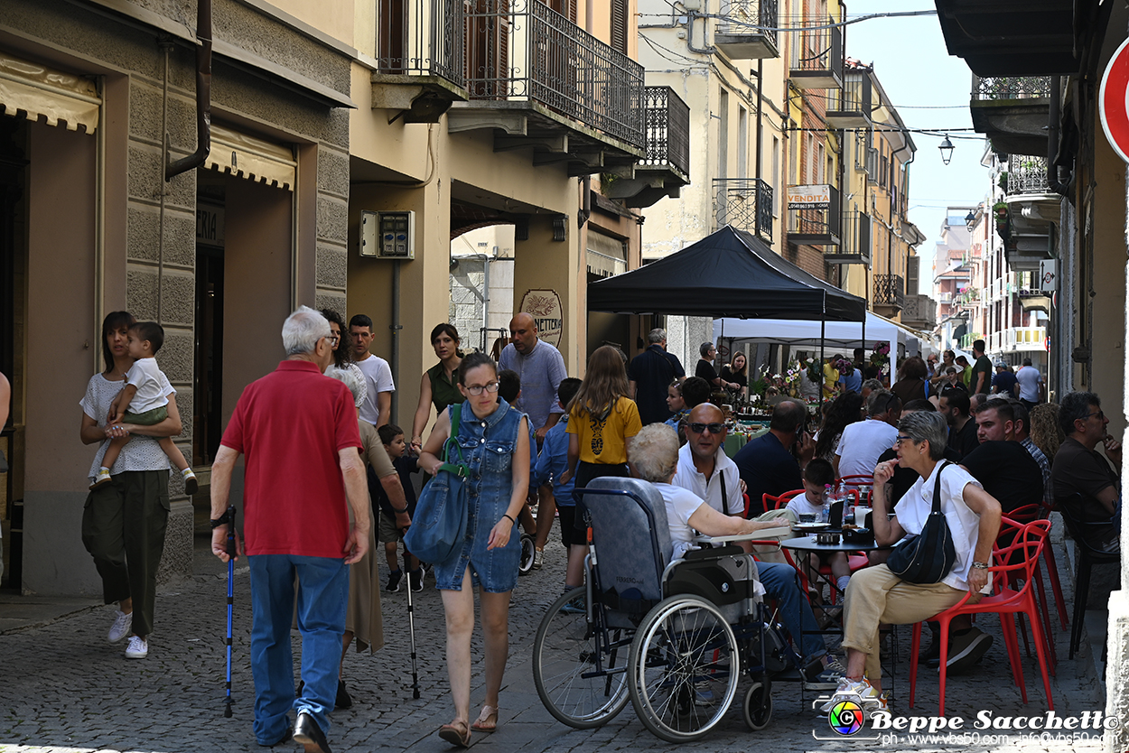 VBS_3209 - Mercatino dell'Antiquariato - Giugno 2026.jpg